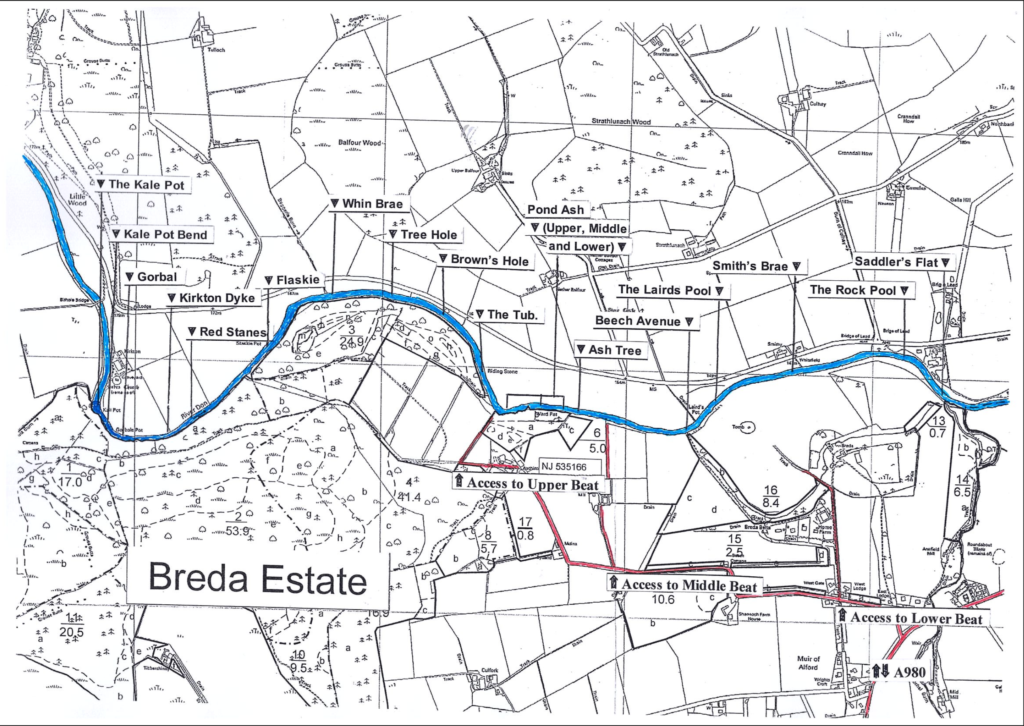 breda beat with pools